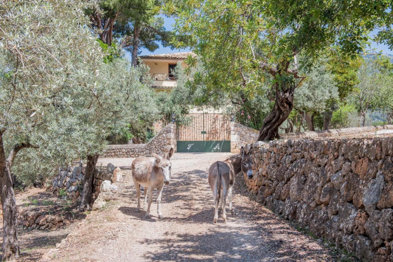 Raco De Soller Villa Buitenkant foto