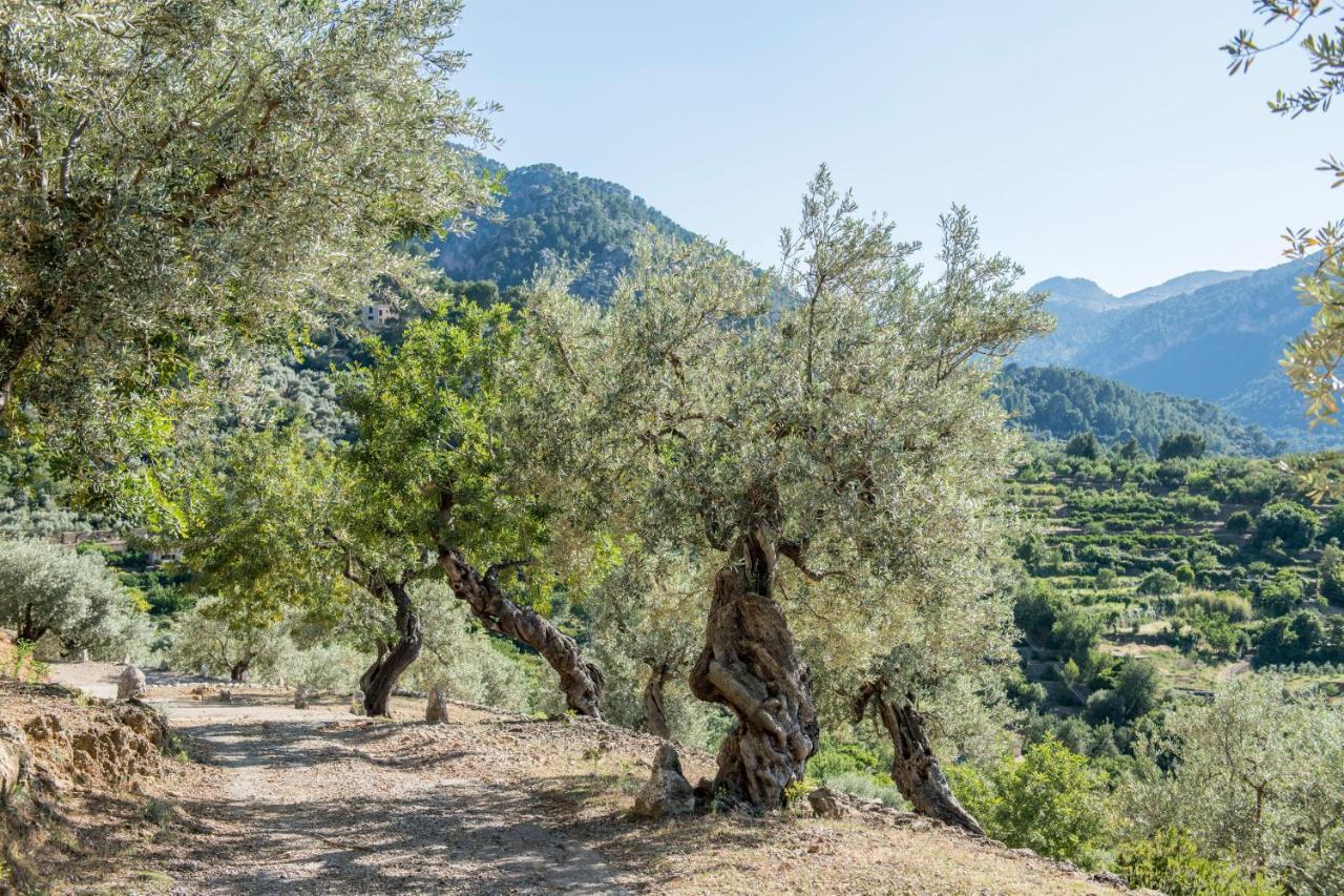 Raco De Soller Villa Buitenkant foto