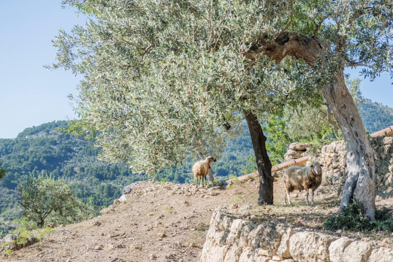 Raco De Soller Villa Buitenkant foto